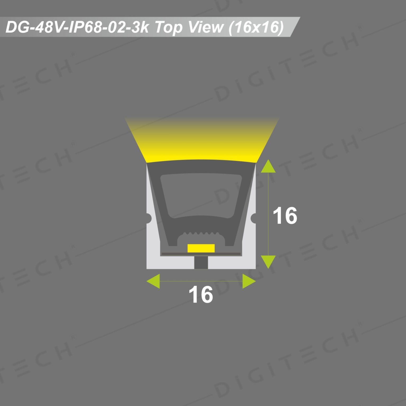 Digitech Lights
